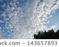 Beautiful blue sky filled with fluffy white altocumulus clouds over green treetops. 143657893