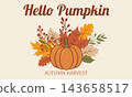 Hello Pumpkin Autumn Harvest vector illustration. 143658517
