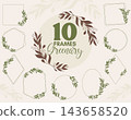 Botanical greenery frames vector set. 143658520