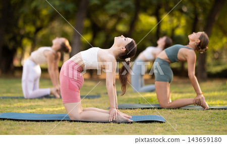 Group of young women doing yoga in camel pose Group of young women doing yoga in camel pose 143659180