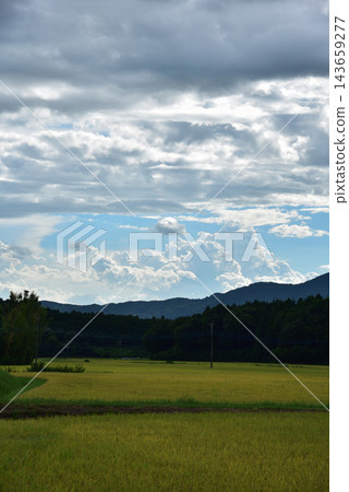 壯麗的積雨雲籠罩著夏日的鄉村和山脈。 143659277