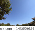 廣闊的秋日藍天，背景是樹枝。 143659684