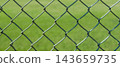 Texture material of a wire mesh fence at a baseball field with a green grass background. 143659735