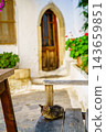 Kitten resting on wooden bench in monastery courtyard, Crete, Greece 143659851