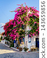 Traditional house with bougainvillea and street view, Mochlos, Crete, Greece 143659856