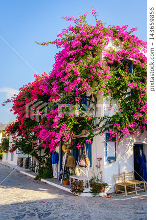 Traditional house with bougainvillea and street view, Mochlos, Crete, Greece 143659856