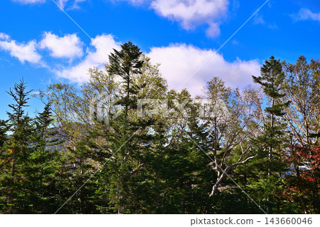 日光白根山索道山頂附近的景色 日光白根山索道山頂附近的景色 143660046