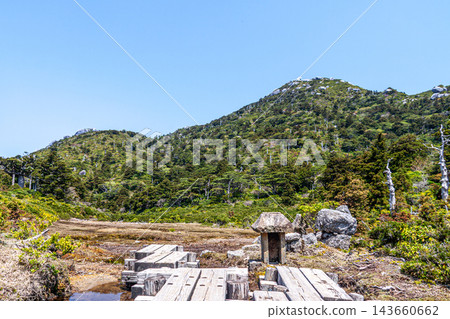 屋久島：高海拔濕地花之江和黑見岳（春季） 143660662