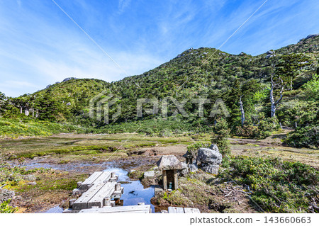 屋久島：高海拔濕地花之江和黑見岳（春季） 143660663