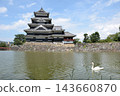 The beautiful black and white Matsumoto Castle, a national treasure, and the swans on the pond. 143660870