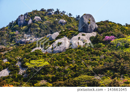Springtime at Yakushima, a World Natural Heritage Site: The strangely shaped rock formations on the mountaintop Springtime at Yakushima, a World Natural Heritage Site: The strangely shaped rock formations on the mountaintop 143661045