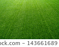 perspective view of full frame green grass texture background for sports field, lawn, and eco concept with copy space 143661689