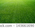 perspective view of full frame green grass texture background for sports field, lawn, and eco concept with copy space 143661690
