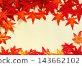 一圈鮮紅的楓葉 143662102
