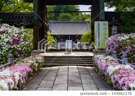 妙滿寺位於京都洛北地區,是一座俯瞰比叡山的美麗古老寺廟。 妙滿寺位於京都洛北地區,是一座俯瞰比叡山的美麗古老寺廟。 143662176