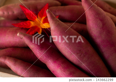 Autumn's Delicacy: Irregularly Shaped Sweet Potatoes Autumn's Delicacy: Irregularly Shaped Sweet Potatoes 143662299