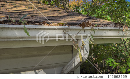 Clogged house rain gutter filled with autumn leaves and overgrown weeds. 143662369