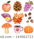 Autumn motif assortment [Transparent background] 143662713