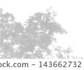 Natural light casts shadows from tree branches on a white background. Mockup 143662732