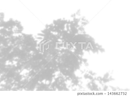 Natural light casts shadows from tree branches on a white background. Mockup Natural light casts shadows from tree branches on a white background. Mockup 143662732