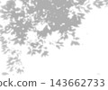 Natural light casts shadows from tree branches on a white background. Mockup 143662733