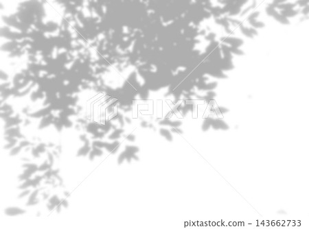 Natural light casts shadows from tree branches on a white background. Mockup Natural light casts shadows from tree branches on a white background. Mockup 143662733