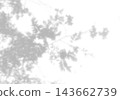 Natural light casts shadows from willow branches on a white background. Mockup 143662739