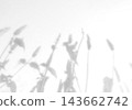 Natural light casts shadows from the field grass on a white background. Mockup 143662742