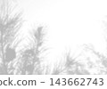 Natural light casts shadows from the field grass on a white background. Mockup 143662743