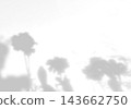 Natural lighting casts shadows from wildflowers on a white background. Mockup 143662750