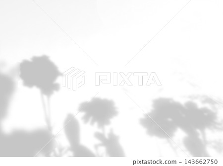 Natural lighting casts shadows from wildflowers on a white background. Mockup Natural lighting casts shadows from wildflowers on a white background. Mockup 143662750