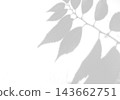 Natural light casts shadows from the laurel branches on a white background. Mockup 143662751