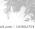 Natural light casts shadows from willow branches on a white background. Mockup 143662754