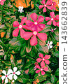 In full bloom 143662839