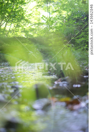 Reflections on the water's surface, fresh greenery, clear stream, eco-image (Mt. Daisen) Reflections on the water's surface, fresh greenery, clear stream, eco-image (Mt. Daisen) 143662846