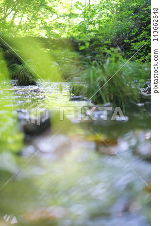 Reflections on the water's surface, fresh greenery, clear stream, eco-image (Mt. Daisen) 143662848