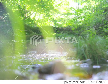 Reflections on the water's surface, fresh greenery, clear stream, eco-image (Mt. Daisen) Reflections on the water's surface, fresh greenery, clear stream, eco-image (Mt. Daisen) 143662852