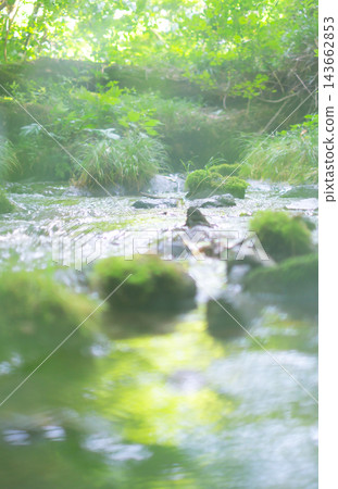 Reflections on the water's surface, fresh greenery, clear stream, eco-image (Mt. Daisen) Reflections on the water's surface, fresh greenery, clear stream, eco-image (Mt. Daisen) 143662853