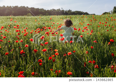 Child Running Through a Green Poppy Field on a Summer Day Child Running Through a Green Poppy Field on a Summer Day 143662865