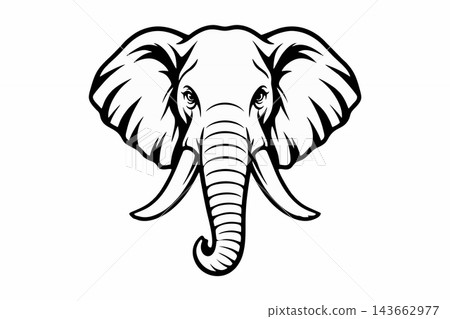 African Elephant Head Line Art Vector Mascot Logo African Elephant Head Line Art Vector Mascot Logo 143662977