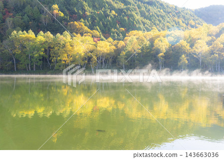 志賀高原的秋天:木戶池上空,秋色絢麗,日出如夢似幻。 志賀高原的秋天:木戶池上空,秋色絢麗,日出如夢似幻。 143663036