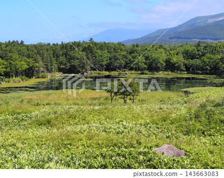 夏季知床山脈和市湖 143663083