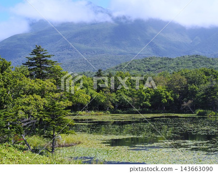 夏季知床山脈和市湖 夏季知床山脈和市湖 143663090