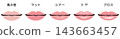 <向量素材> 5幅插圖對比唇部彩妝質地（日文版） 143663457