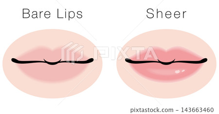 <Vector Material> Comparison Illustration Set of Bare Lips and Sheer Lipstick <Vector Material> Comparison Illustration Set of Bare Lips and Sheer Lipstick 143663460