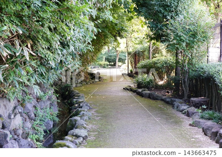Iijima Babbling Brook Greenway Iijima Babbling Brook Greenway 143663475