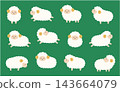 Cute sheep vector illustration set. Zodiac sign, Year of the Sheep, sheep, icon, New Year's card 143664079