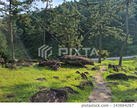 This is a dolmen park where the sun shines. 143664267
