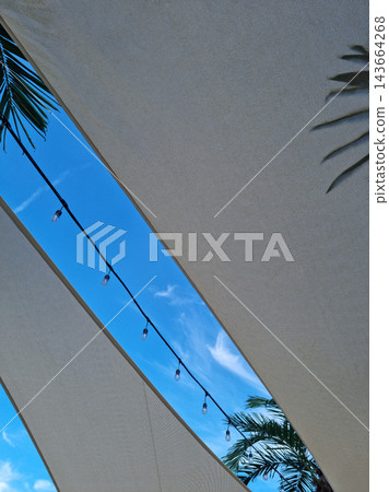 It is a tent covering palm trees. It is a tent covering palm trees. 143664268