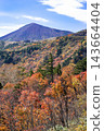 Bandai Azuma Skyline: Autumn leaves in Tengu no Niwa 143664404